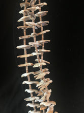 Load image into Gallery viewer, Santo Domingo Tribe Old style fetish necklace
