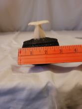 Load image into Gallery viewer, Baleen woven basket with walrus ivory whale tale by Alaskan Inuit basket weaver James Omnik Jr.
