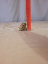 Load image into Gallery viewer, Santa Clara Pueblo Painted badger by Margaret + Luther Gutierrez
