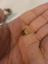 Load image into Gallery viewer, Jemez Pueblo Story Teller by Clifford Kim Fragua
